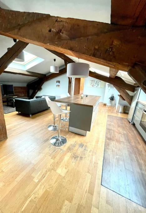 Le Charmeur - Climatise Avec 2 Chambres - Hypercentre *